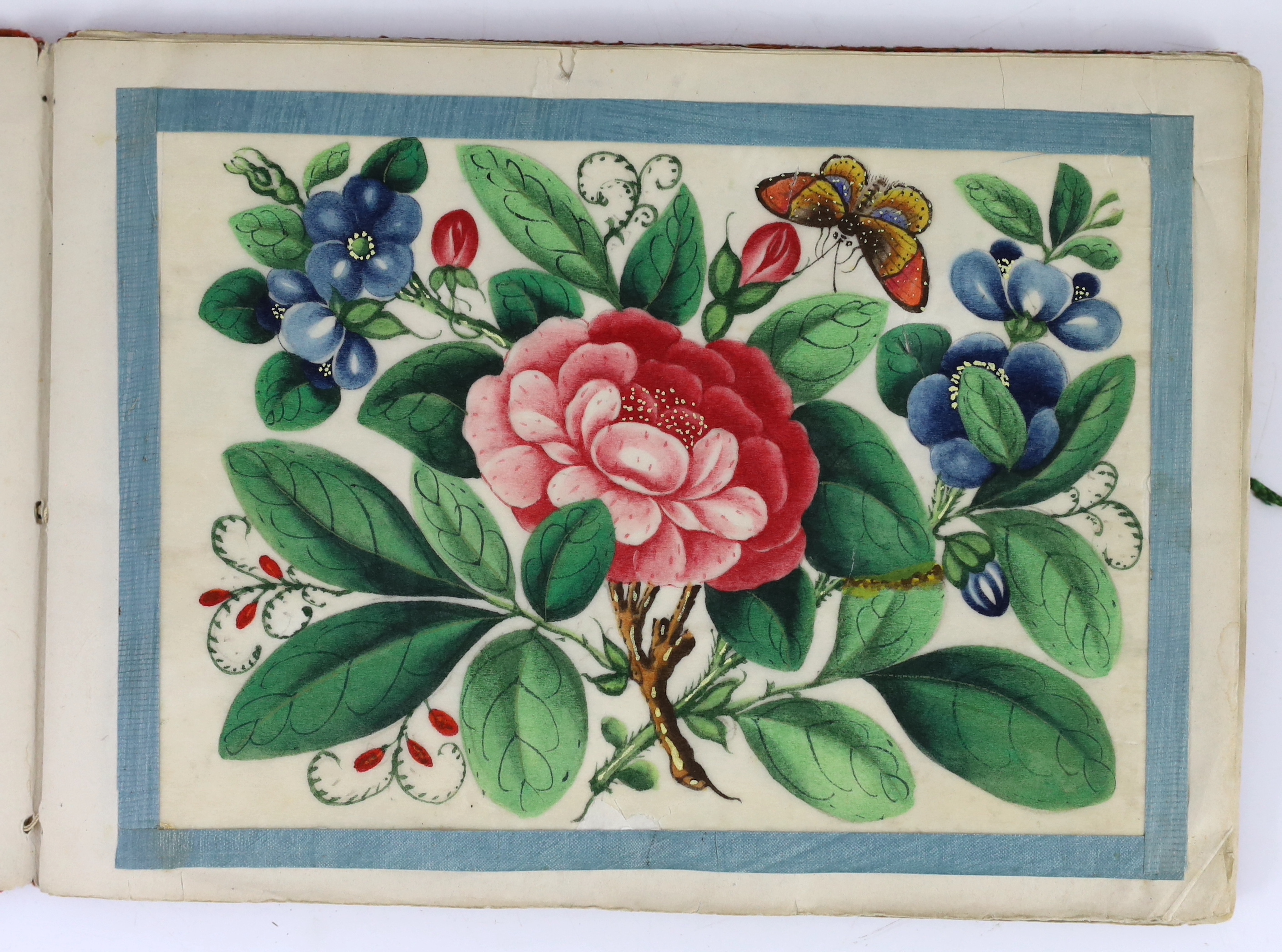 A Chinese album of twelve pith paintings of flowers and insects, 19th century